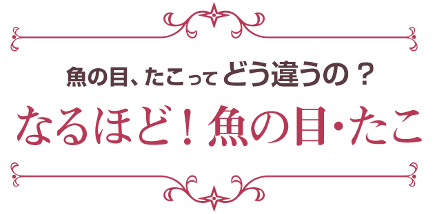 魚の目、たこってどう違うの？なるほど！魚の目・たこ